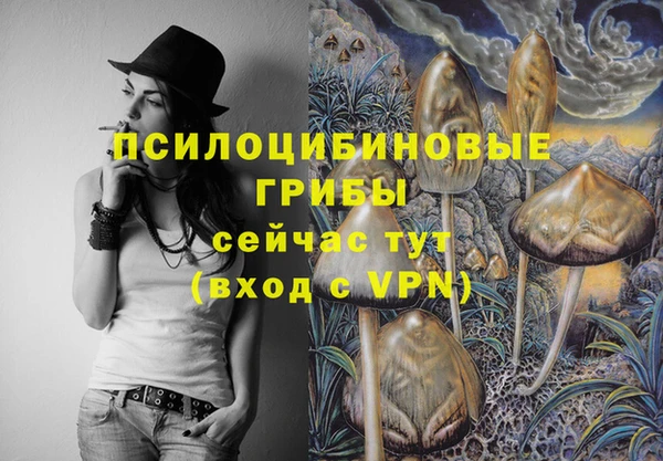 mdpv Елизово